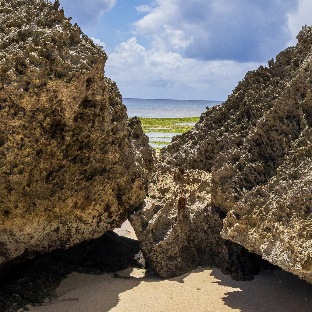 Enlarged detail of the Gun Beach Rocks print, showcasing the intricate textures of ancient karst limestone.