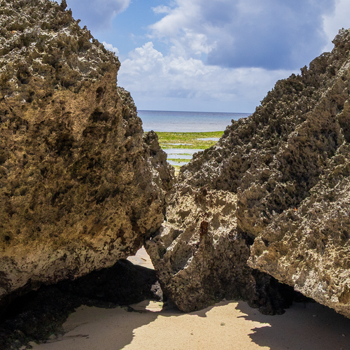 Enlarged detail of the Gun Beach Rocks print, showcasing the intricate textures of ancient karst limestone.