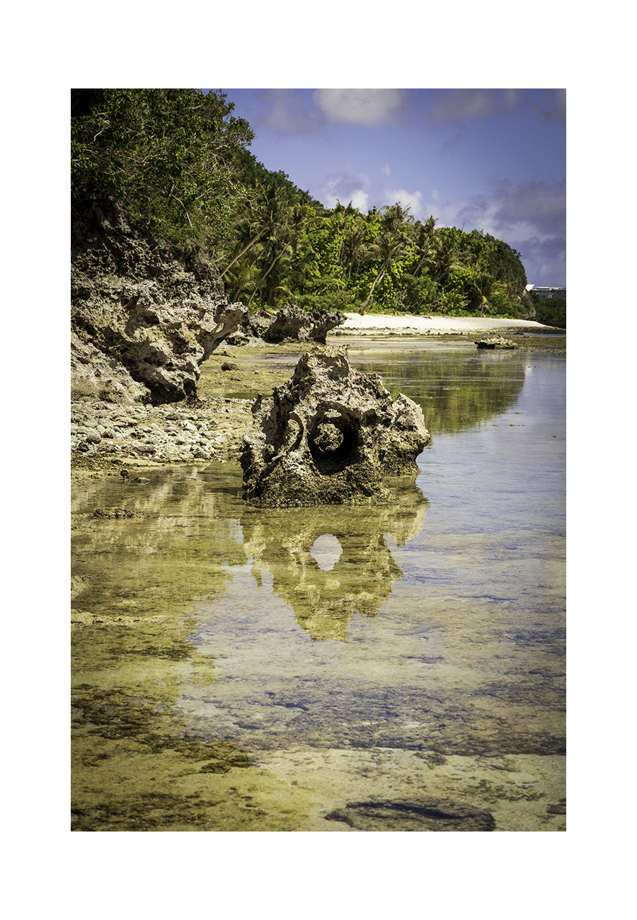 A 8x12 inch fine art coastal reflection photograph showing the product dimensions and symmetrical white handling border margins.