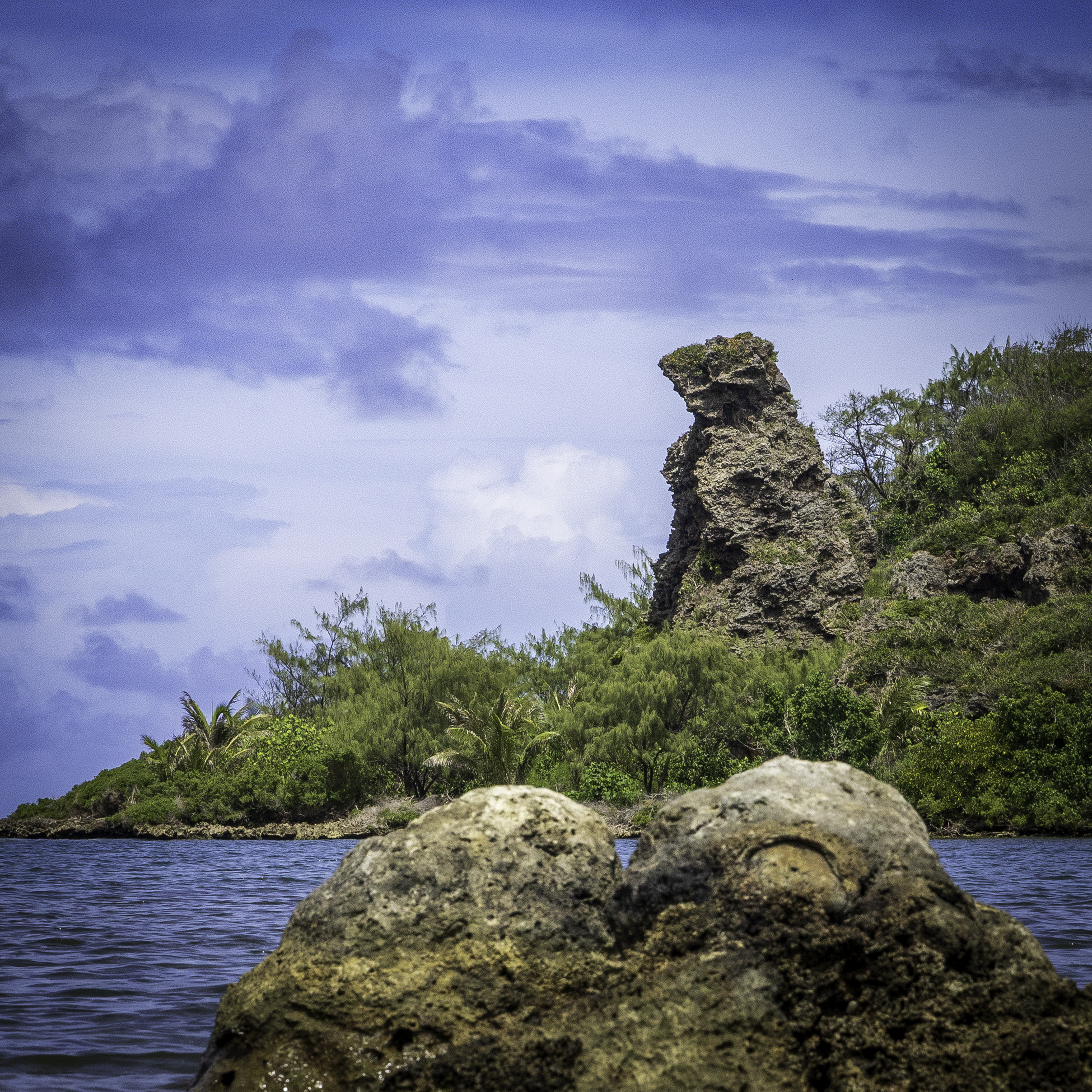 A close-up view focusing on the weathered limestone textures of the iconic Bear Rock formation rising above tropical coastal foliage.
