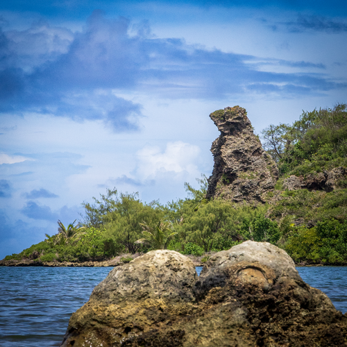 A close-up view focusing on the weathered limestone textures of the iconic Bear Rock formation rising above tropical coastal foliage.