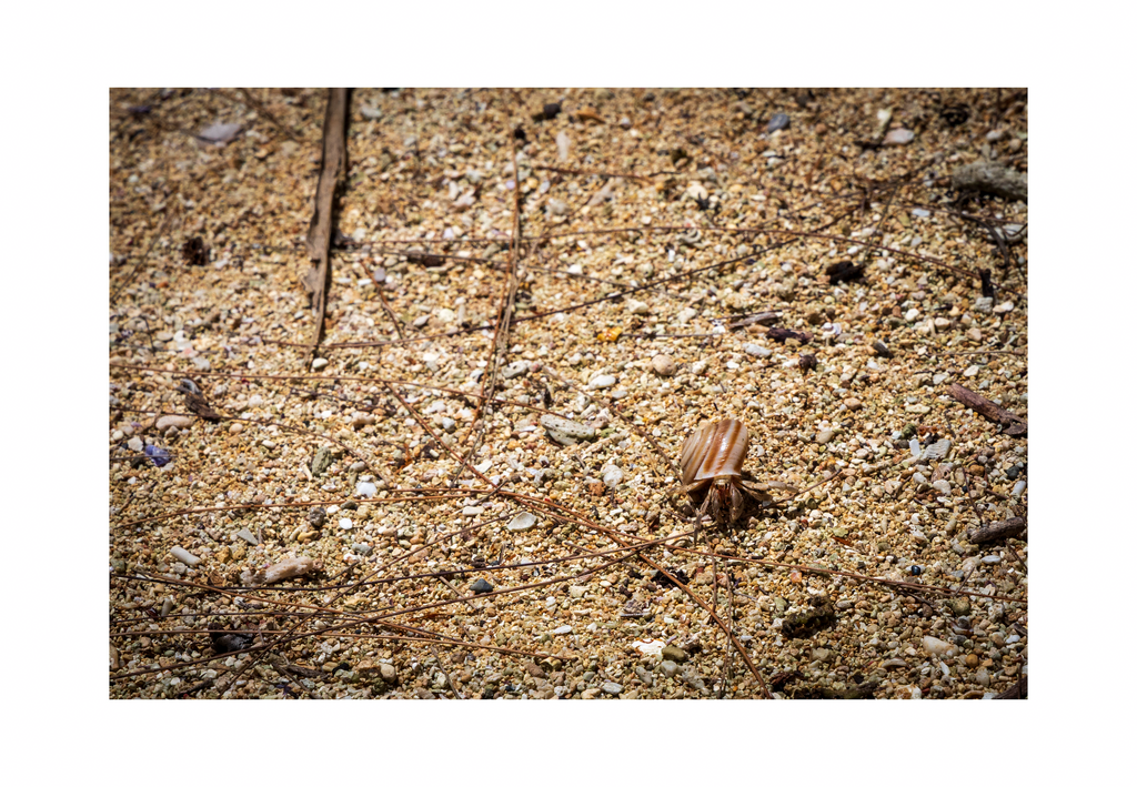 The 12x8 The Hermit of Gadao’s Cave fine art print, shown with an elegant white border and ready for framing.