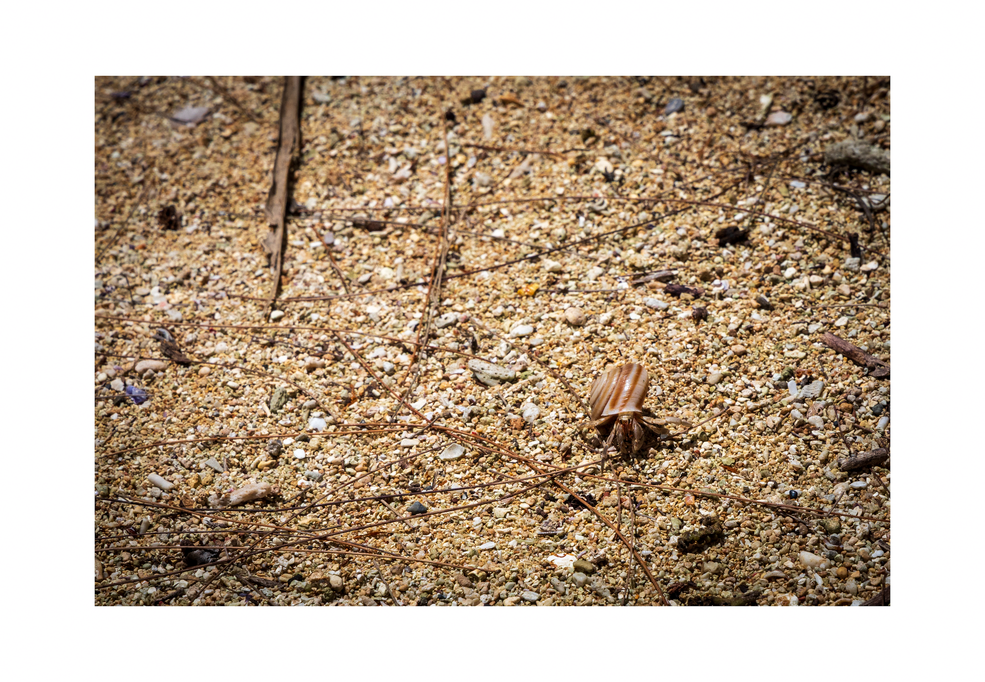 The 12x8 The Hermit of Gadao’s Cave fine art print, shown with an elegant white border and ready for framing.