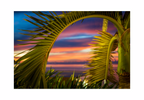 A 12x8 inch tropical fine art landscape print of a palm tree sunset, showing product dimensions and clean white margins.