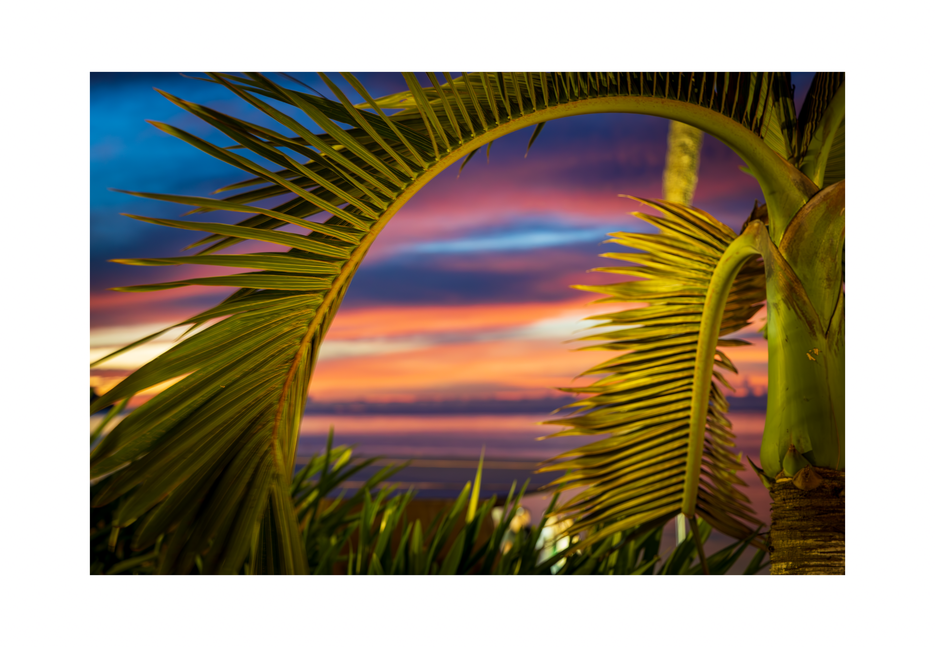 A 18x12 inch tropical fine art landscape print of a palm tree sunset, showing product dimensions and clean white margins.