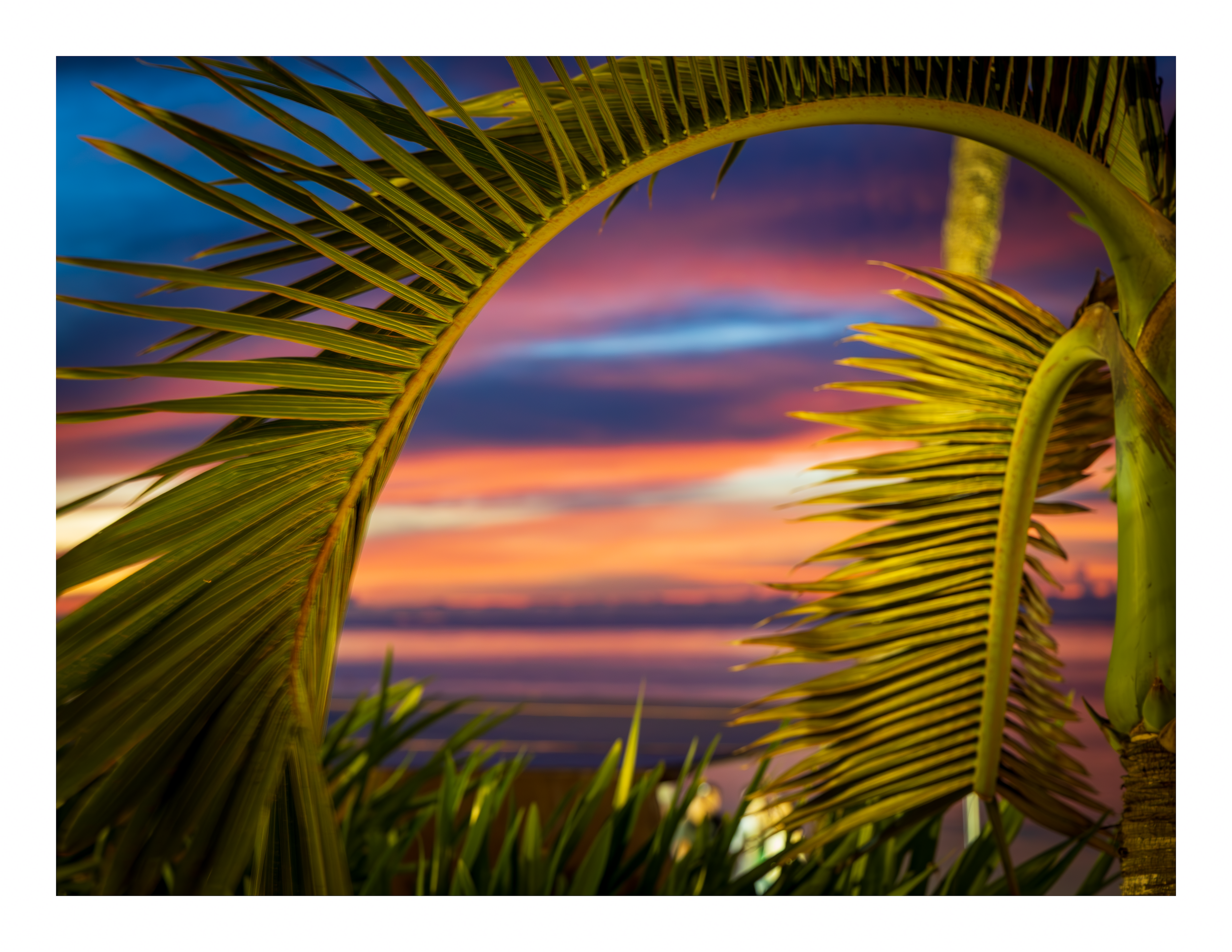 A 22x17 inch tropical fine art landscape print of a palm tree sunset, showing product dimensions and clean white margins.
