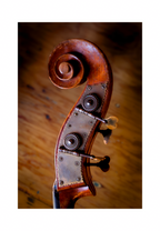 A 8x12 inch fine art print of a double bass scroll and tuning gears, showing product dimensions and clean white border margins.