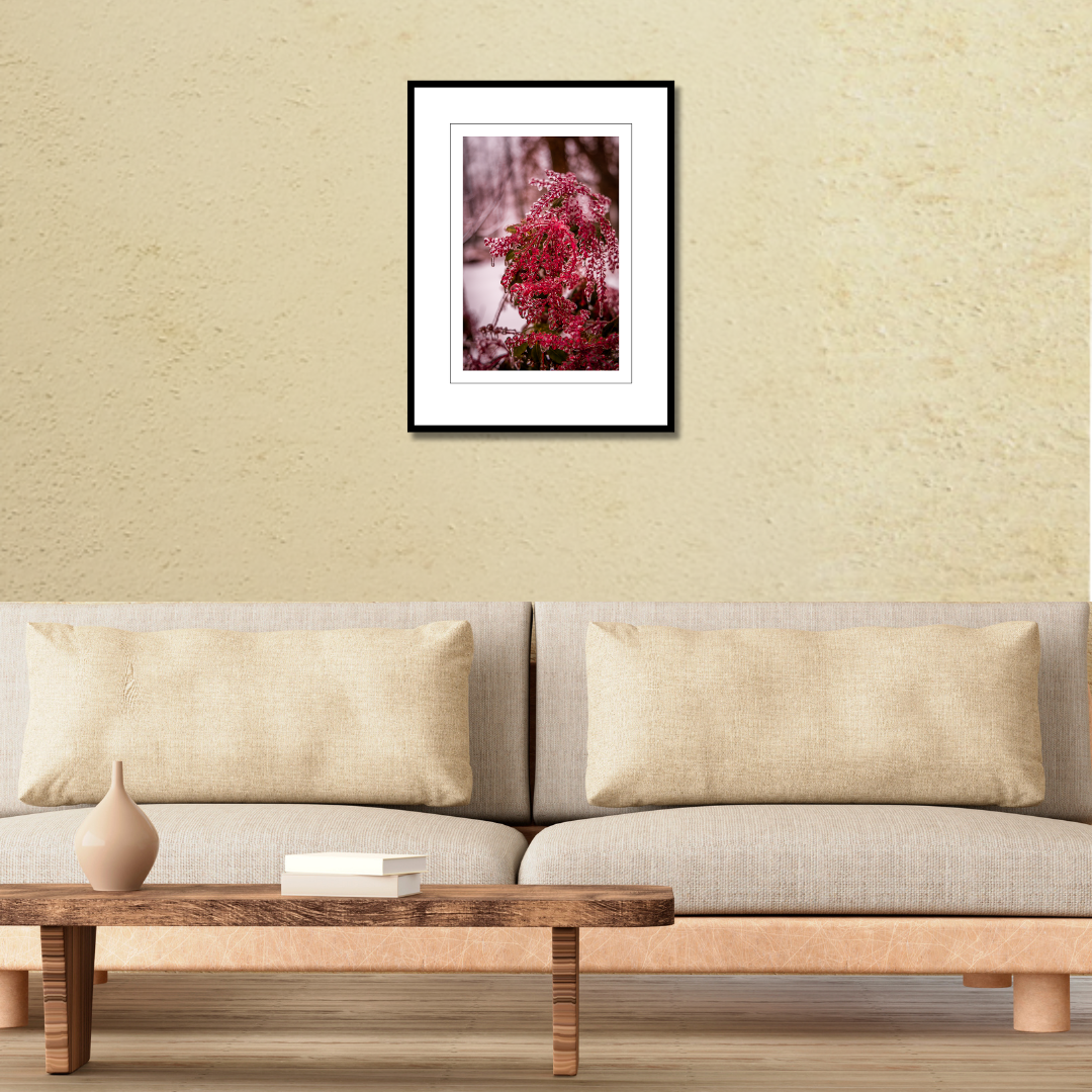 A framed macro nature photography print of ice-covered winter berries displayed on a wall above a couch to demonstrate scale.