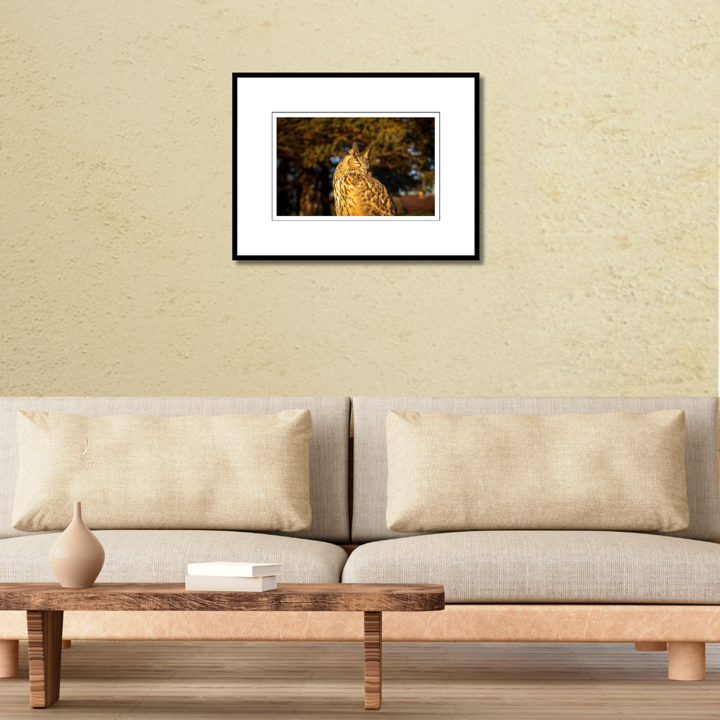 A framed fine art print of Kira the Eurasian Eagle-Owl displayed on a living room wall above a couch to show scale.
