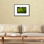 A 18x12 Sapphire Sentinel skink print in an 24x18 frame, styled on a living room wall above a contemporary couch
