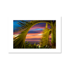 A vibrant ocean sunset with deep pink and blue sky gradients, framed elegantly by the arching green fronds of a tropical palm tree.