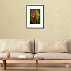 A framed botanical fine art print of a red ginger flower displayed on a modern living room wall over a couch to show scale.